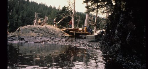 alaska-oil-spill-tanker-exxon-valdez-march-1989-2